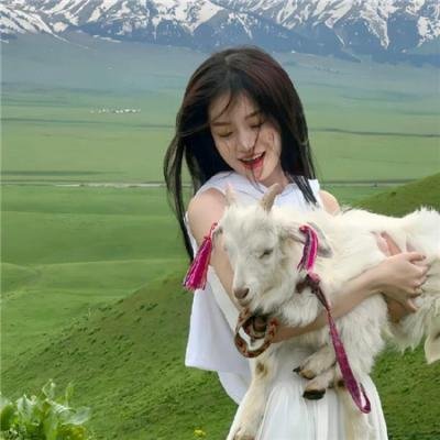 飞机总动员2：打火英雄